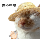 云鼎娱乐-官宣！广州社保大调整！